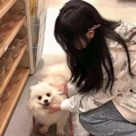 极无双熊猫玩版下载